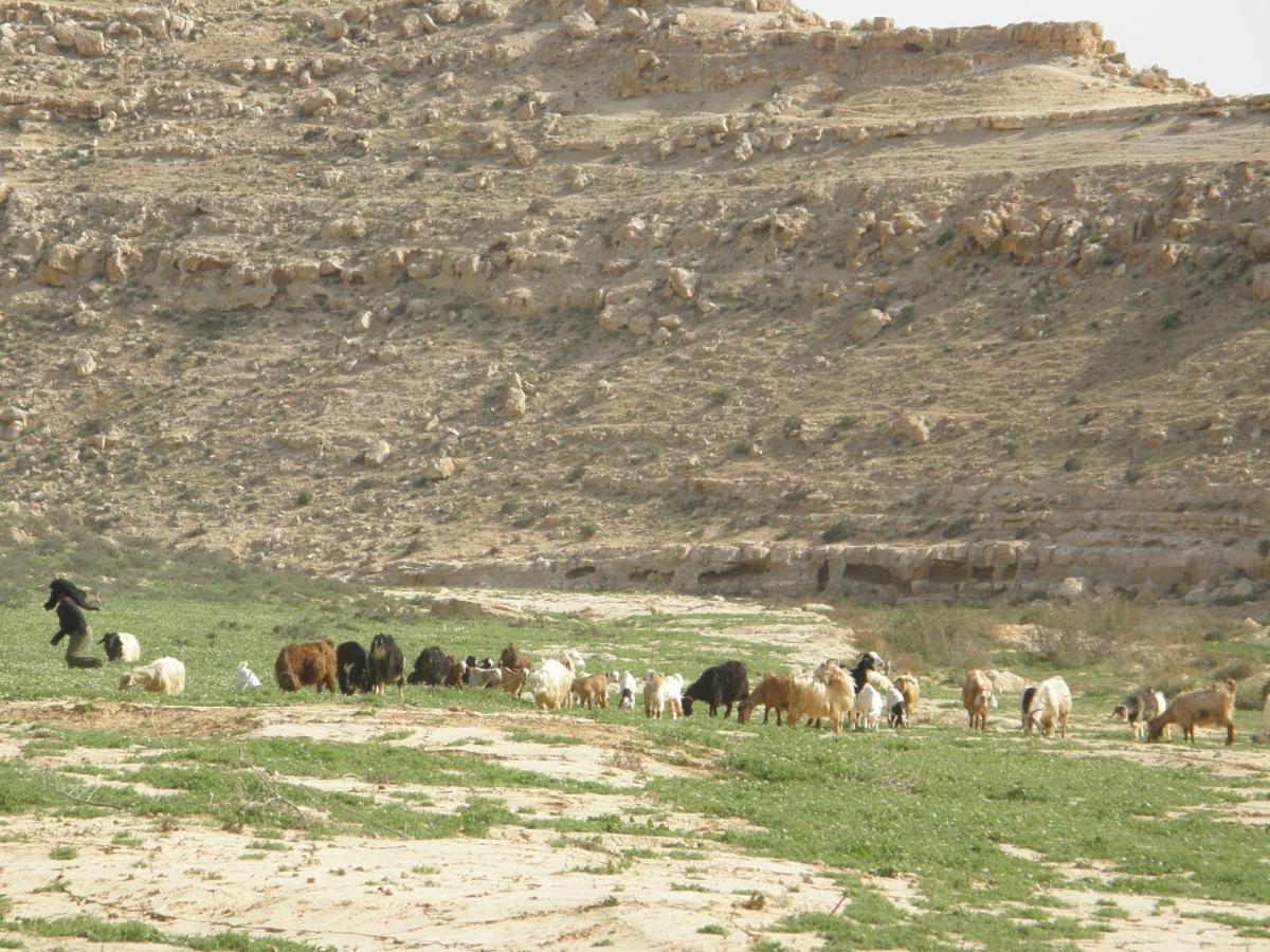 Hadass Desert Inn Dimona Exterior foto