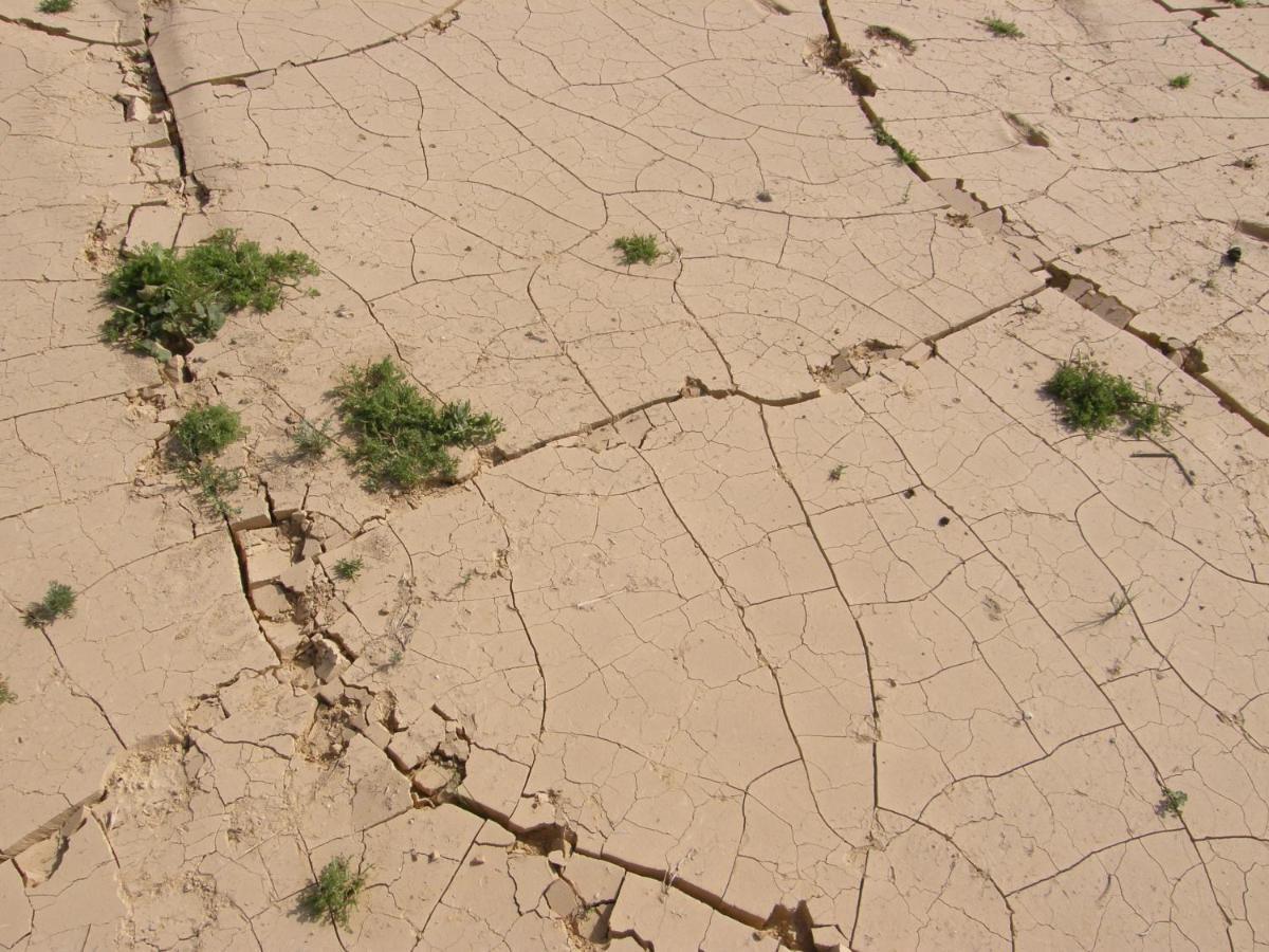Hadass Desert Inn Dimona Exterior foto